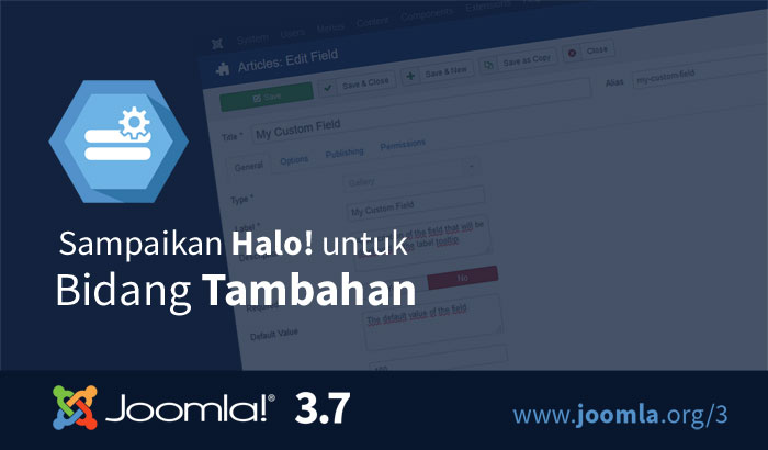 Joomla-3.7-custom-fields-700x410-id.jpg